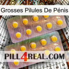 Grosses Pilules De Pénis new10